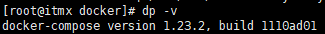 dp-v